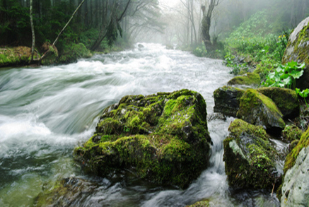 Eau potable, eaux usées et eau pluviale